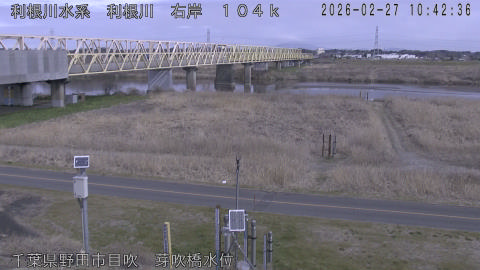 tonme2026022711_image