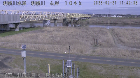 tonme2026022712_image