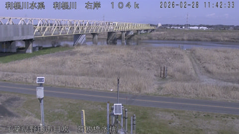 tonme2026022812_image