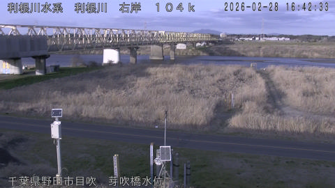 tonme2026022817_image