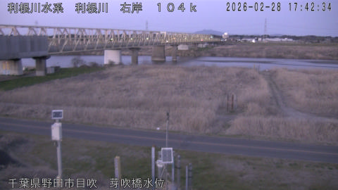 tonme2026022818_image