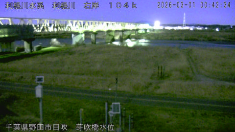 tonme2026030101_image