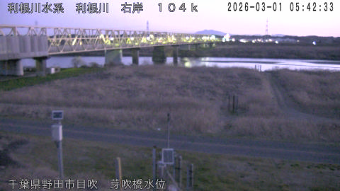 tonme2026030106_image