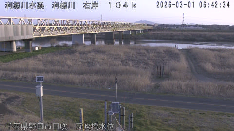 tonme2026030107_image