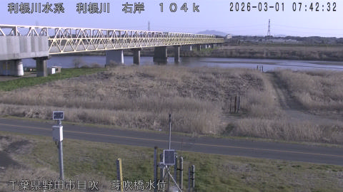 tonme2026030108_image