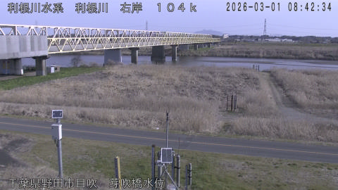 tonme2026030109_image