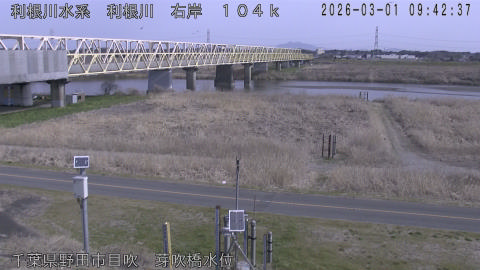 tonme2026030110_image