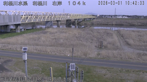 tonme2026030111_image