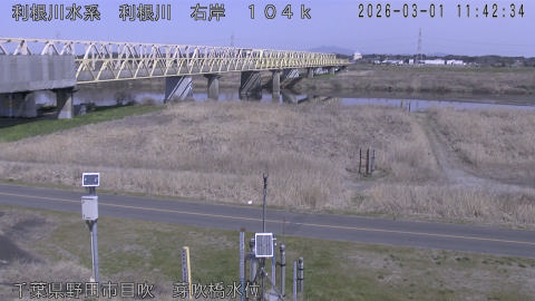 tonme2026030112_image