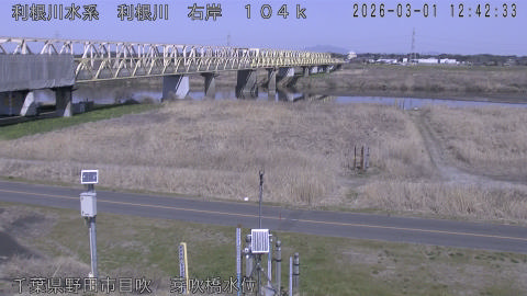 tonme2026030113_image