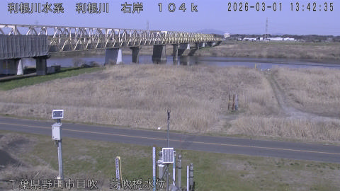 tonme2026030114_image