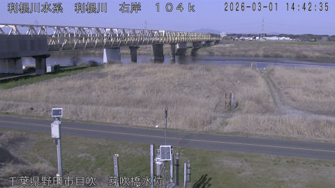 tonme2026030115_image