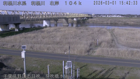 tonme2026030116_image