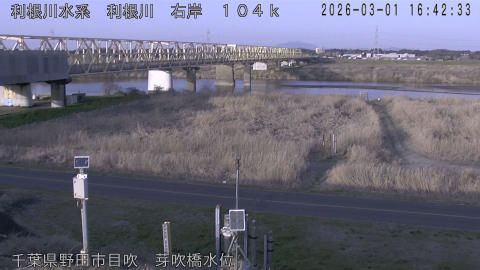 tonme2026030117_image