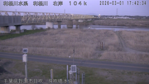 tonme2026030118_image