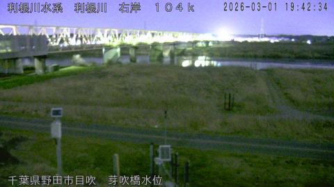 tonme2026030120_image