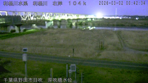 tonme2026030201_image