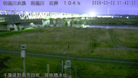 tonme2026030202_image