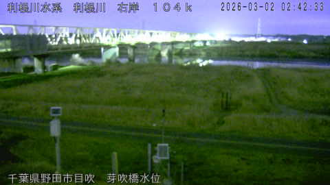 tonme2026030203_image