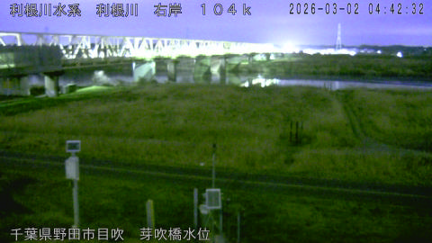 tonme2026030205_image