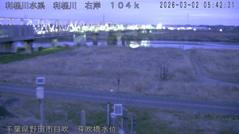 tonme2026030206_image