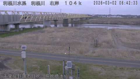 tonme2026030207_image