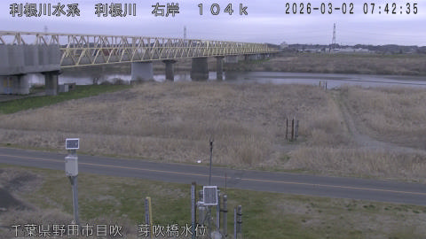 tonme2026030208_image