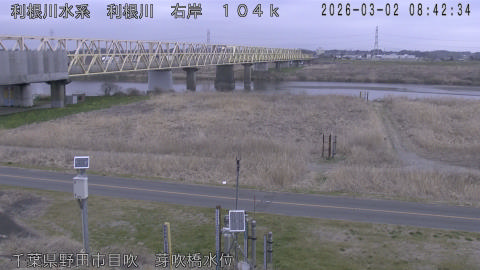 tonme2026030209_image