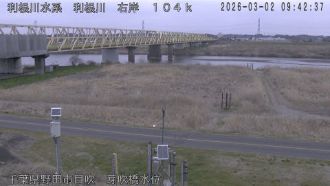 tonme2026030210_image