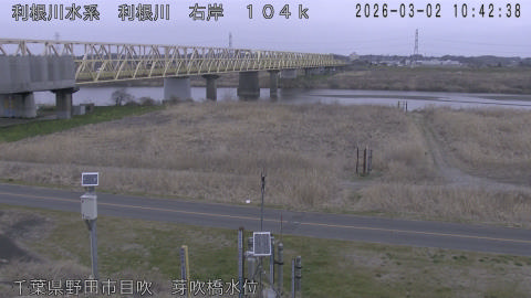 tonme2026030211_image