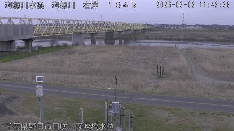 tonme2026030212_image