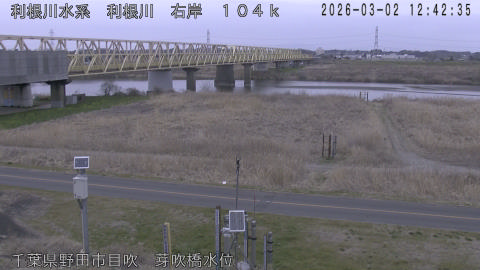 tonme2026030213_image