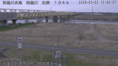 tonme2026030214_image