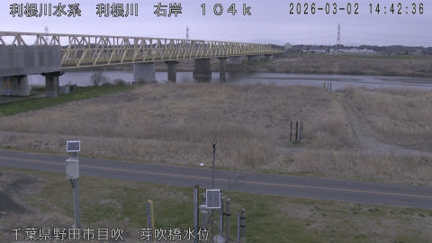 tonme2026030215_image