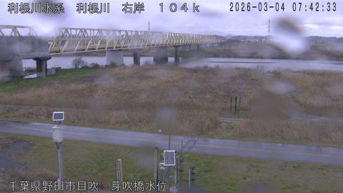 tonme2026030408_image