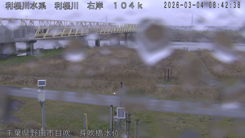 tonme2026030409_image