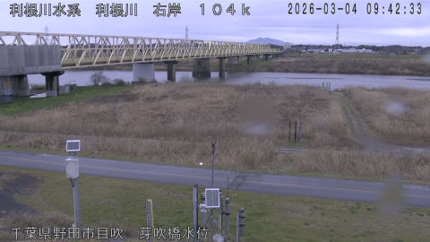 tonme2026030410_image