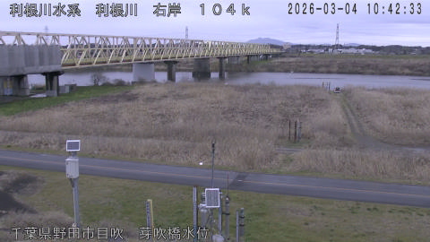 tonme2026030411_image