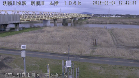 tonme2026030413_image