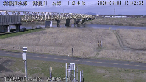 tonme2026030414_image