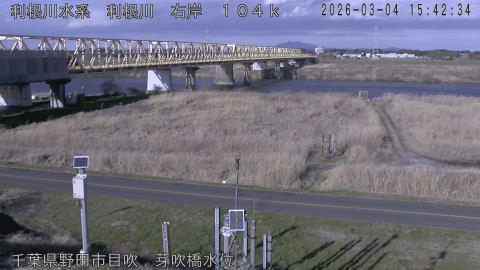 tonme2026030416_image