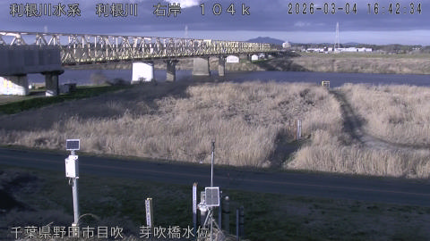 tonme2026030417_image