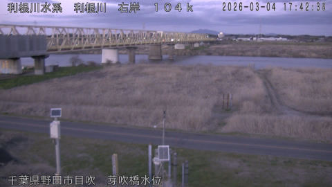 tonme2026030418_image