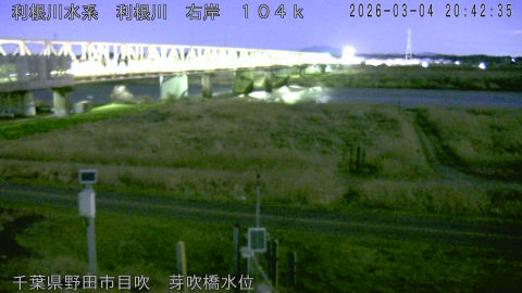 tonme2026030421_image