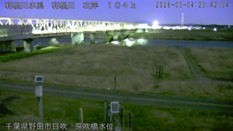 tonme2026030500_image