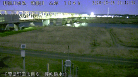 tonme2026030501_image