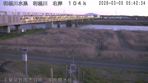 tonme2026030506_image