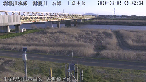 tonme2026030507_image