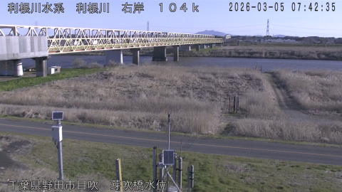 tonme2026030508_image