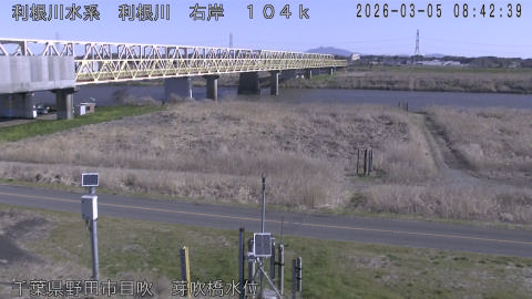 tonme2026030509_image